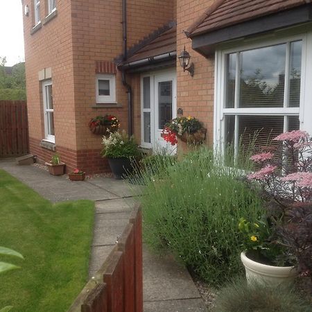 Home From Home Bed And Breakfast Livingston Exterior foto
