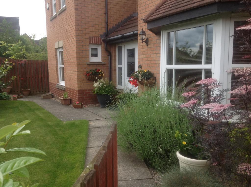 Home From Home Bed And Breakfast Livingston Exterior foto